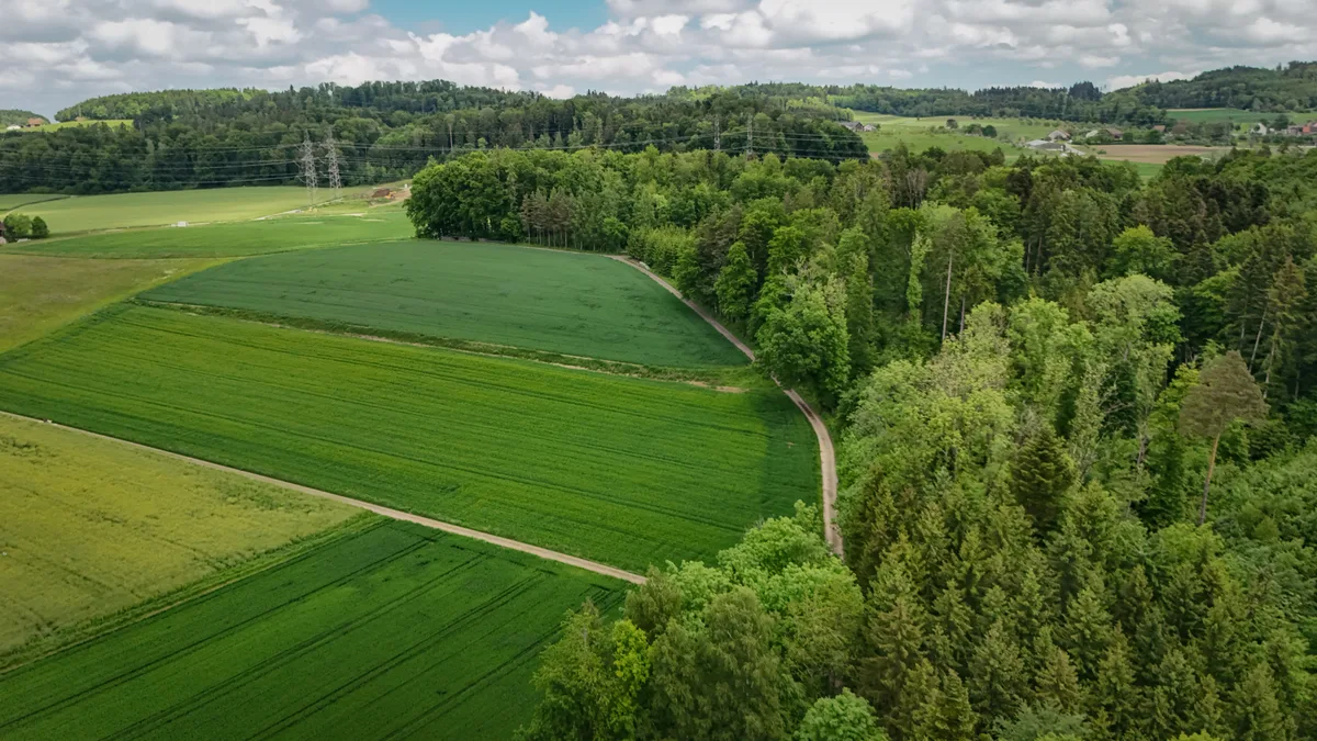 Eine leichte Wölbung im Gebiet: Das ist auch ein «Tätsch». Felder und ein Waldstück von oben fotografiert.